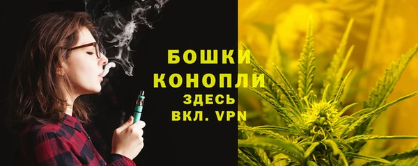 шишки Аркадак