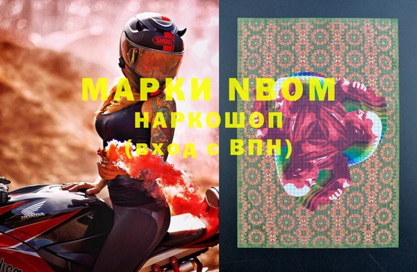 шишки Аркадак