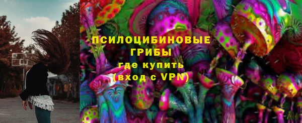 шишки Аркадак