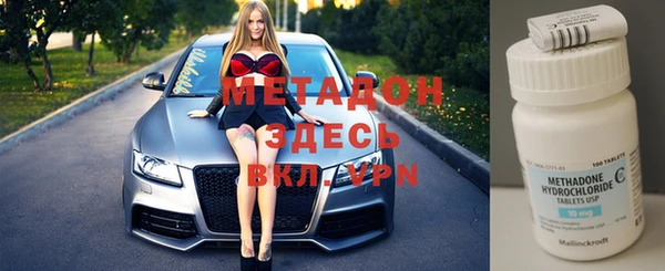 шишки Аркадак